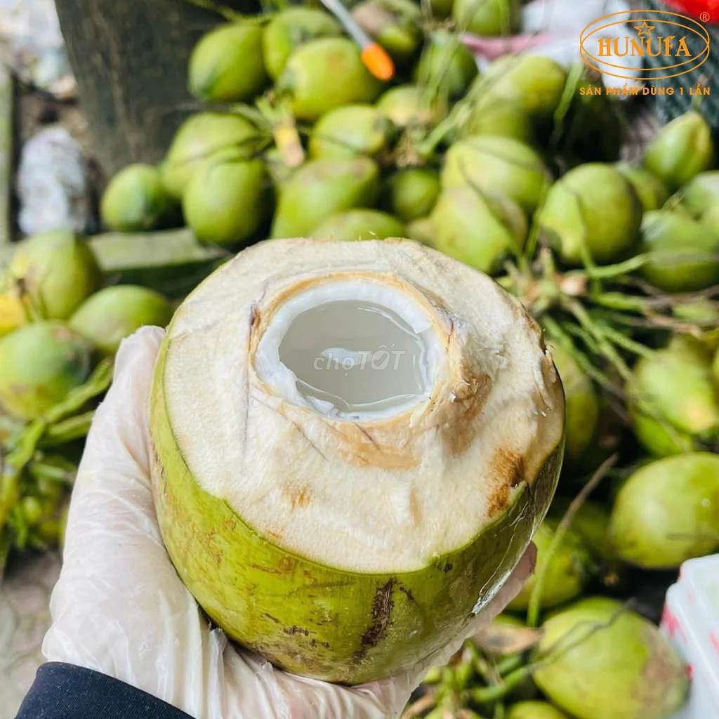 Dừa xiêm xanh trái to tròn ngọt thanh mát. Mua bán Đồ ăn, thực phẩm và các loại khác tại Quận Tây Hồ Hà Nội được đăng bởi Mr Hùng hình 1