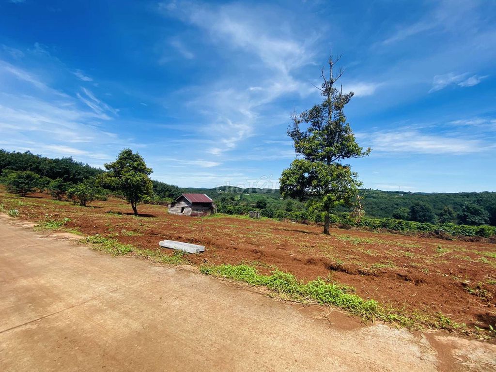 Chính chủ cần bán lô đất gần chợ Đắk Sin 450tr/1200m2 có 200m2 thổ cư