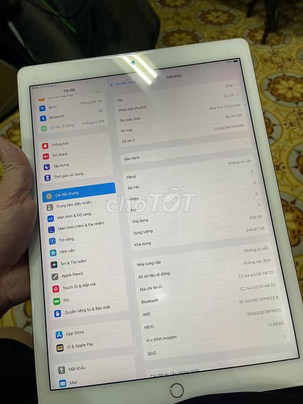 Apple iPad Pro 12.9 256GB Vàng. Mua bán Máy tính bảng tại Quận 12 Tp Hồ Chí Minh được đăng bởi Hội Đồ Điện Tử hình 1