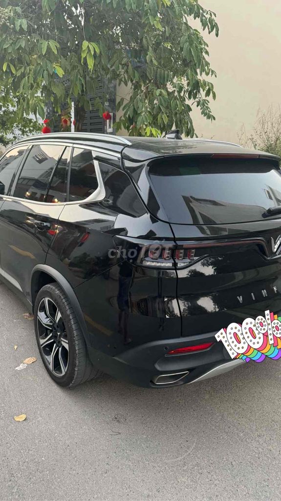 Ảnh số 7