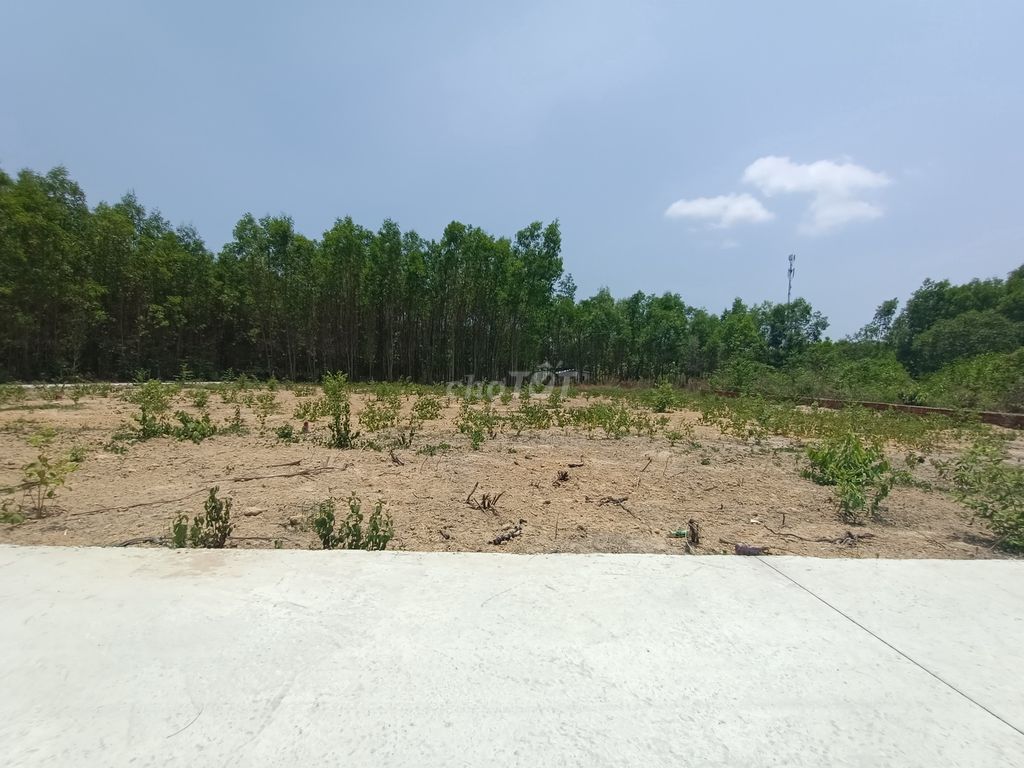 Bán 167m2 thổ cư giá chỉ 1,65tỷ HXH cách Hùng Vương 150m