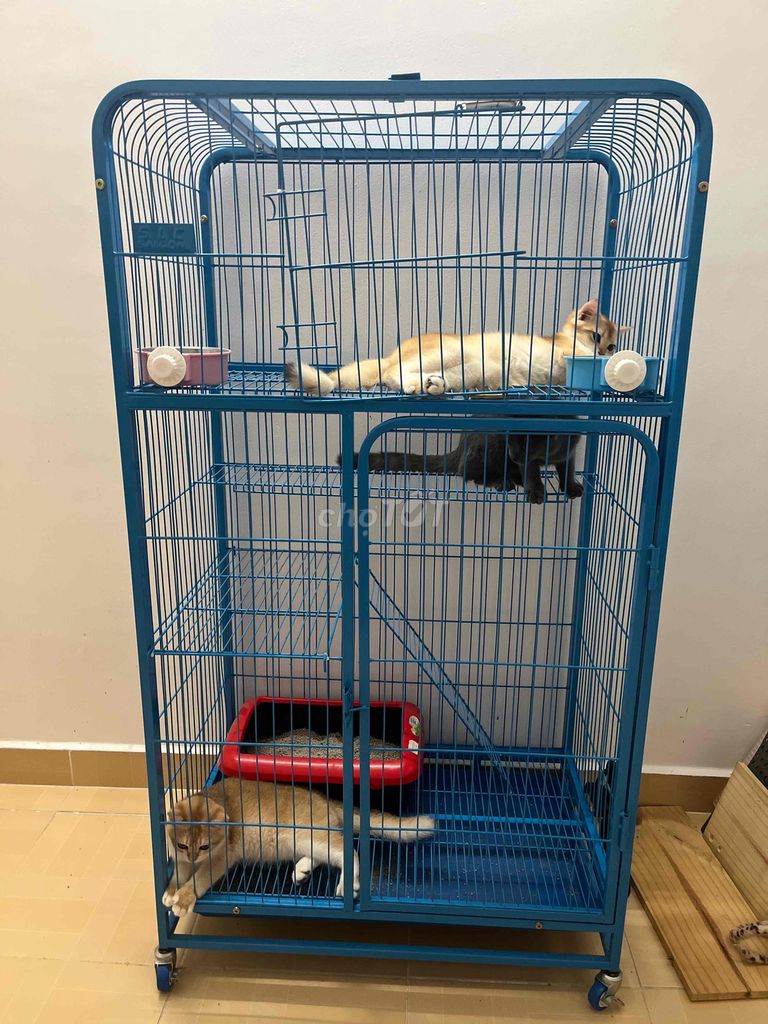 chuồng lớn nhỏ cho mèo. Mua bán Phụ kiện, Thức ăn, Dịch vụ tại Quận Cái Răng Cần Thơ được đăng bởi Vương hình 1