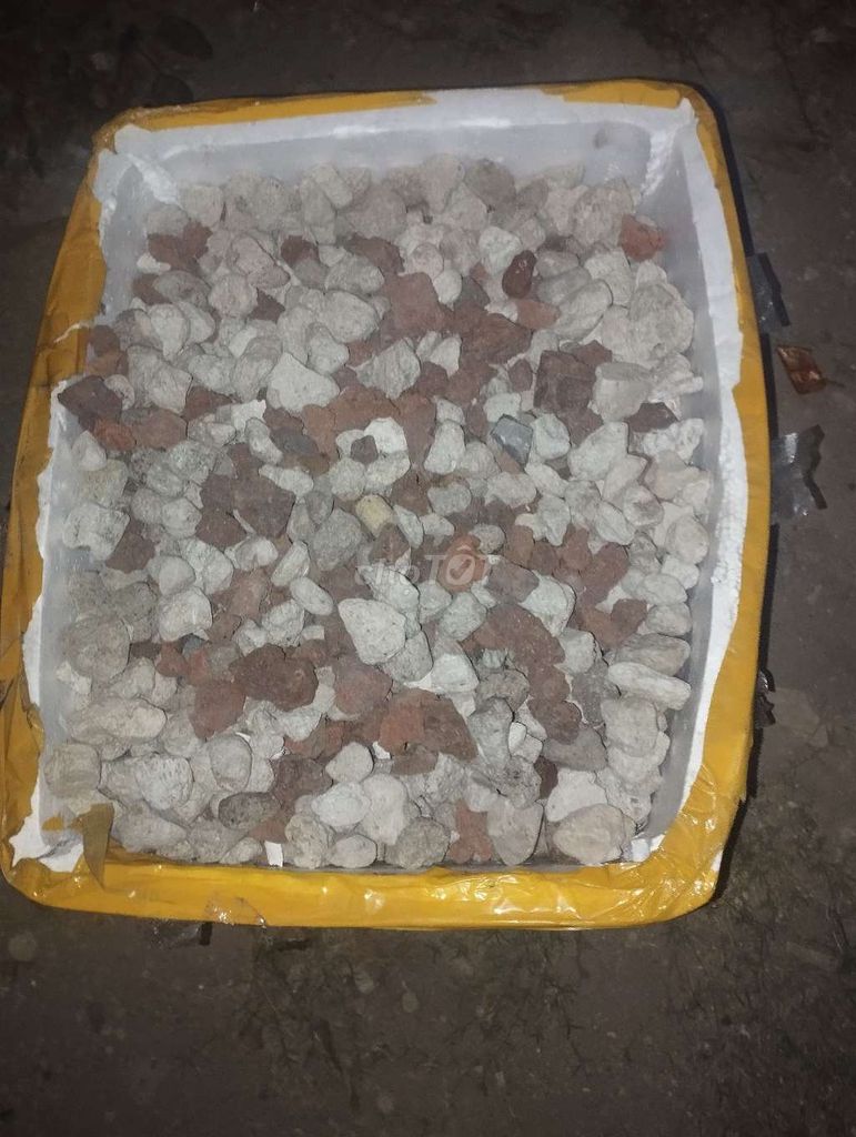 Vật liệu lọc hồ cá Đá nhiều màu. Mua bán Phụ kiện, Thức ăn, Dịch vụ tại Huyện Bình Chánh Tp Hồ Chí Minh được đăng bởi Dũng Nguyễn hình 1