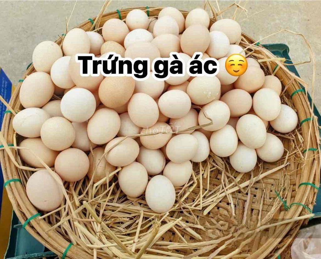 Trứng gà ác Huế