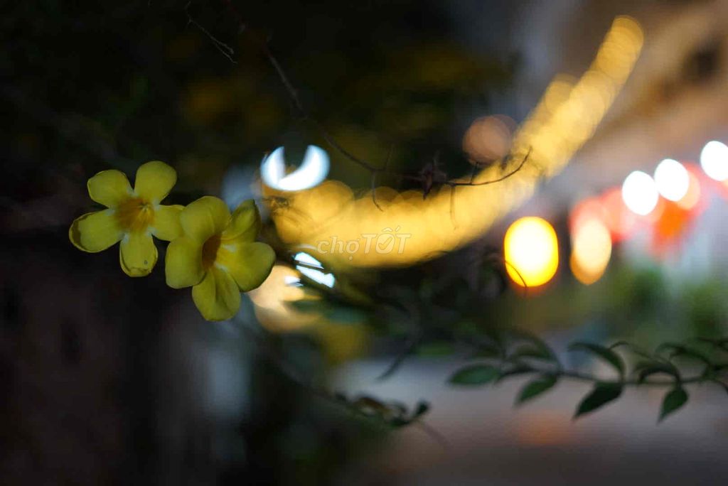 Ống kính Viltrox AF 40mm F2.5 FE. Mua bán Máy ảnh, Máy quay tại Quận 4 Tp Hồ Chí Minh được đăng bởi Tran Bao Quoc hình 1