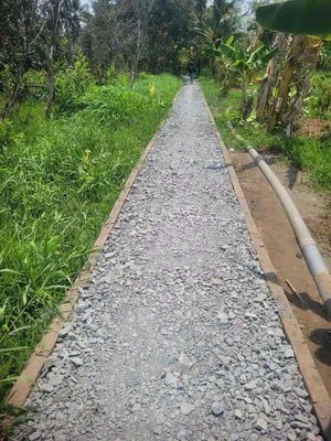 Đất vườn giá rẻ cần thơ