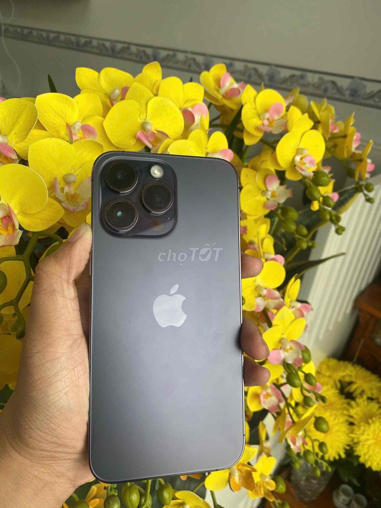 Apple iPhone 14 Pro Max 128GB Tím. Mua bán Điện thoại tại Quận Ninh Kiều Cần Thơ được đăng bởi Khải mobile hình 1