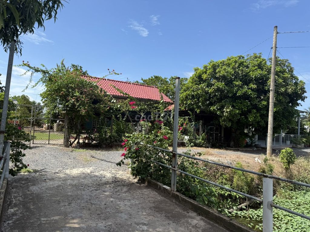 Bán nền full thổ cư 20x40