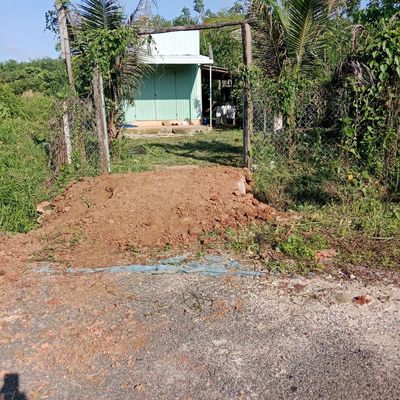 Đất & Nhà đường nhựa, tổng 1300m2, đủ cây ăn trái 4 năm, 430 triệu
