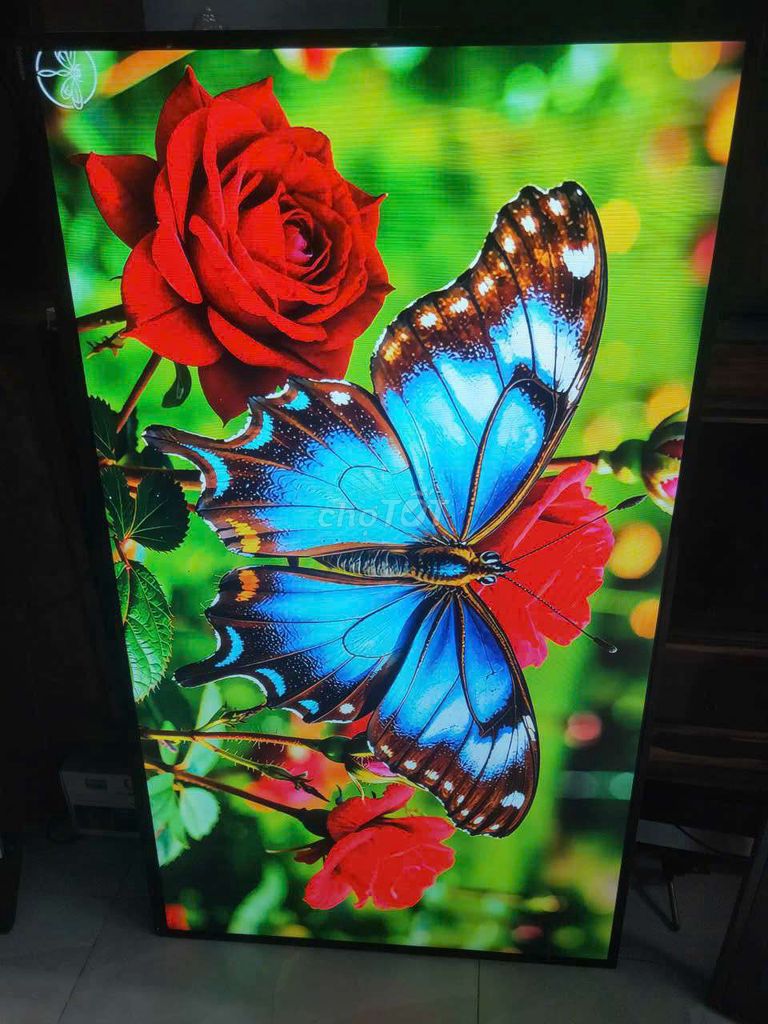 tivi led Toshiba 43in zin hình ảnh màu sáng đẹp. Mua bán Tivi, Âm thanh tại Huyện Bình Chánh Tp Hồ Chí Minh được đăng bởi Thành lý hàng cũ  hình 1