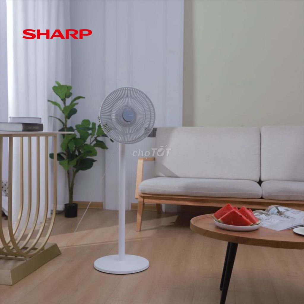 Quạt tuần hoàn DC Sharp PJ-CD204A Trắng 18W. Mua bán Quạt tại Thành phố Nha Trang Khánh Hòa được đăng bởi Duck hình 1
