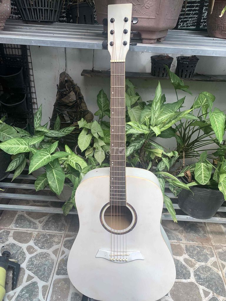 thanh lý guitar màu trắng