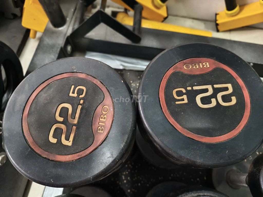 Tạ Nhựa Đen 22.5 kg. Mua bán Đồ thể thao, Dã ngoại tại Thành phố Biên Hòa Đồng Nai được đăng bởi Thanh Tran hình 1
