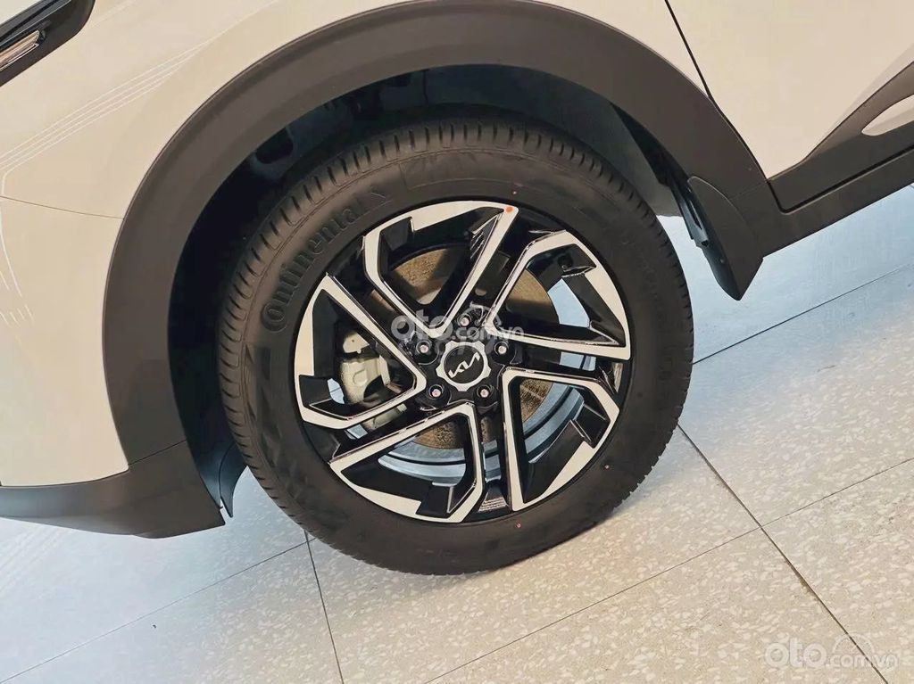 Ảnh số 5