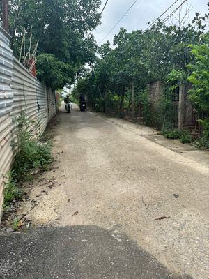 CẦN BÁN 67M2 ĐẤT BÌA LÀNG THÔN XUÂN TRẠCH, ĐÔNG ANH - SÁT VIN CỔ LOA.. Mua bán đất tại Huyện Đông Anh Hà Nội được đăng bởi Đặng Thùy