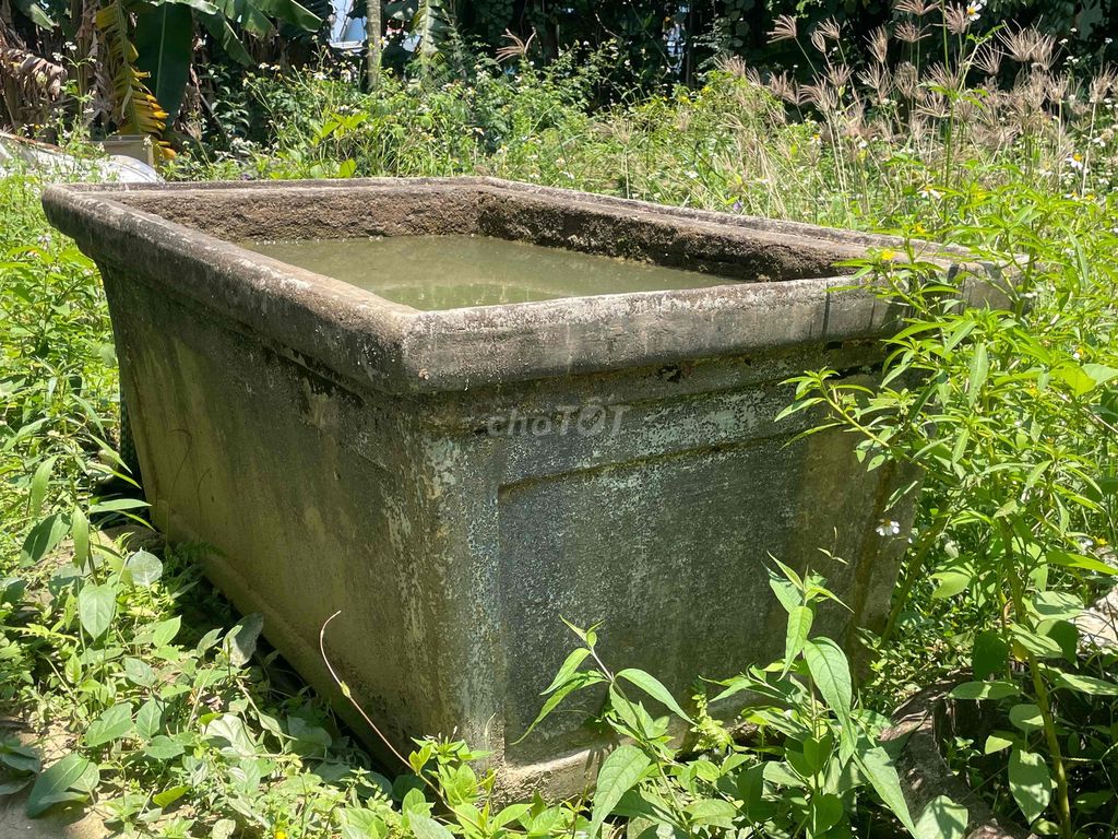 Hồ cá Cổ bê tông 1.4x0.9x0.7m. Mua bán Phụ kiện, Thức ăn, Dịch vụ tại Thành phố Hội An Quảng Nam được đăng bởi Nguyễn Viết Thông hình 1