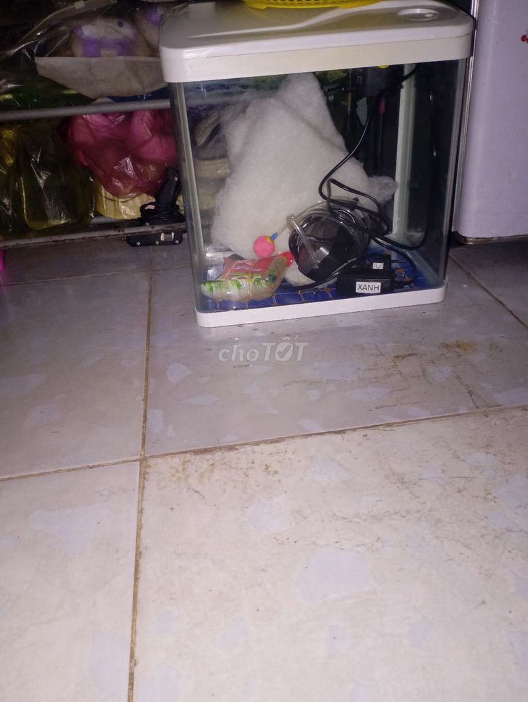 Bể cá cảnh Kính Trắng Đã qua sử dụng. Mua bán Phụ kiện, Thức ăn, Dịch vụ tại Huyện Bình Chánh Tp Hồ Chí Minh được đăng bởi Thiện nghĩa  hình 1