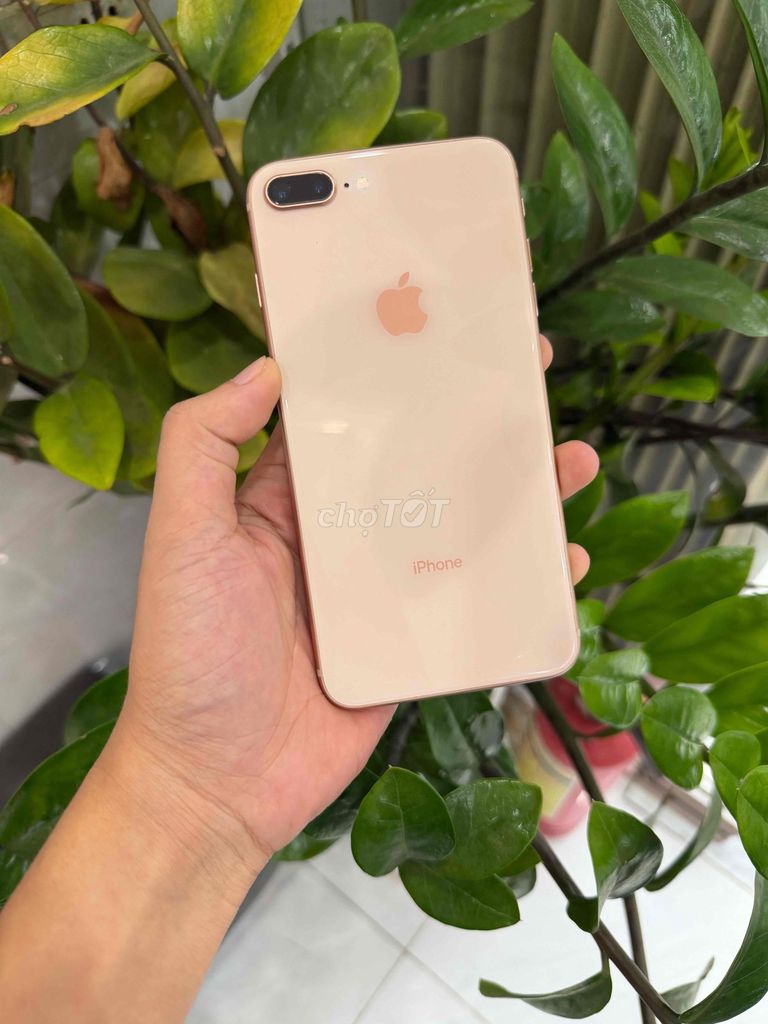 IPHONE 8 PLUS 64GB QUỐC TẾ. Mua bán Điện thoại tại Quận Thanh Khê Đà Nẵng được đăng bởi Hải Hà hình 1