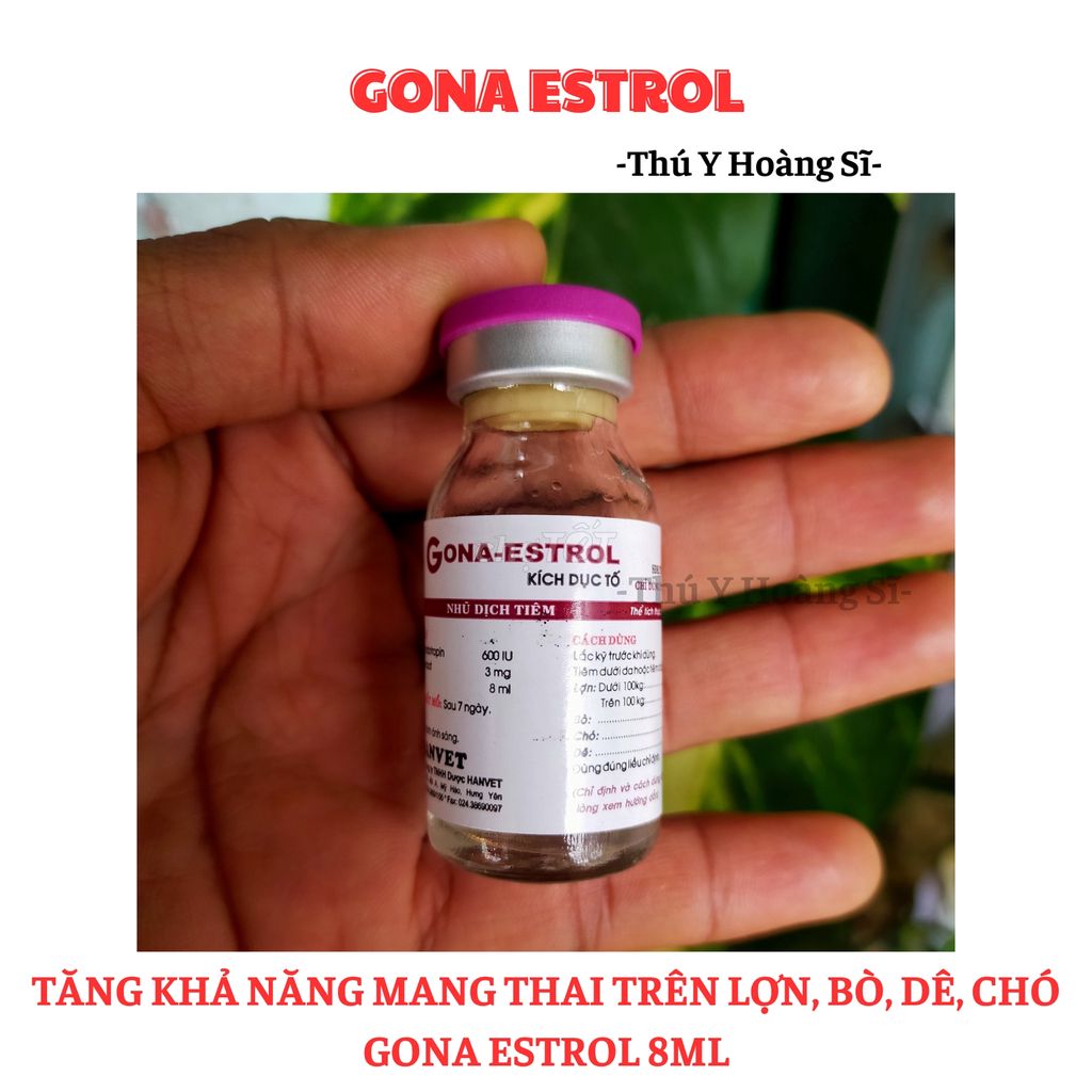 GONA ESTROL Tăng khả năng có con dùng trong thú y