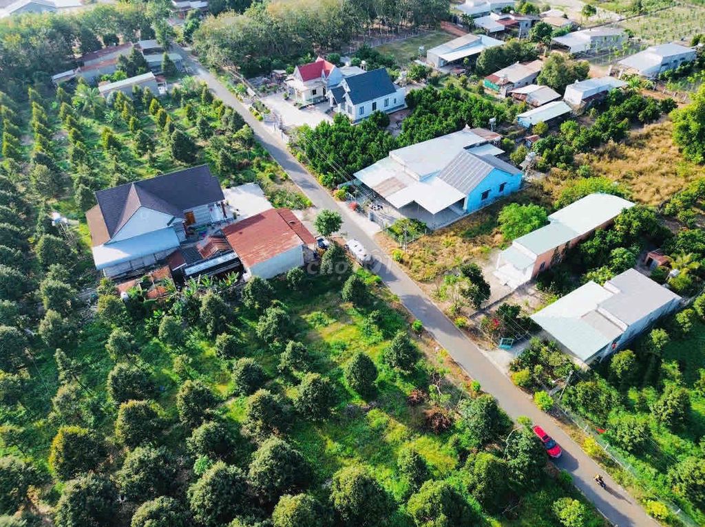 Chính Chủ Cần Bán Lô đất 1000m2 sẵn Vườn Sầu Riêng 135triệu cạnh KCN. Mua bán đất tại Huyện Đồng Phú Bình Phước được đăng bởi Viên hình 1