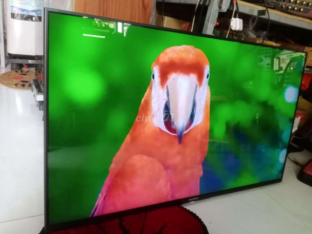 Tivi sony43in màn mới còn sill