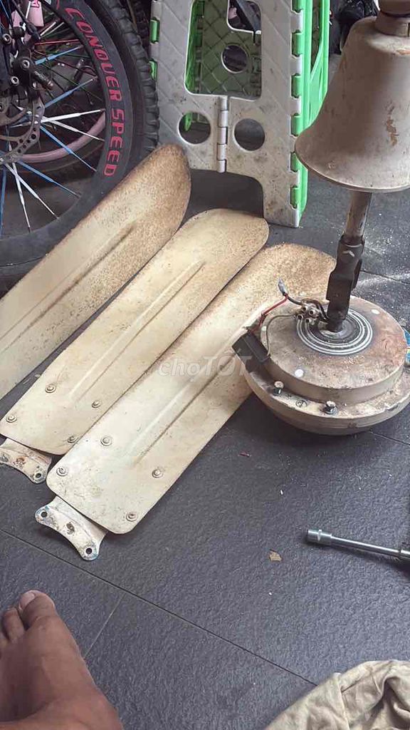 Quạt trần Lý Tiểu Long màu Kem. Mua bán Quạt tại Quận Phú Nhuận Tp Hồ Chí Minh được đăng bởi A. Đam hình 1