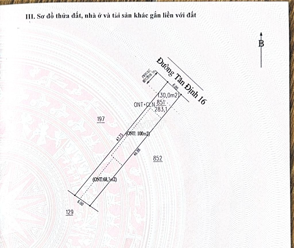 CHÍNH CHỦ BÁN ĐẤT TÂN ĐỊNH 16 (283.1m² – NGANG 6M – THỔ CƯ CAO)