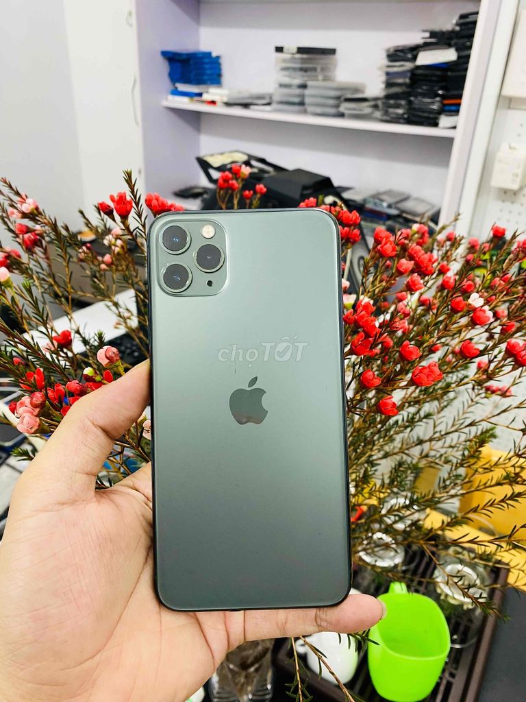 IPhone 11 Pro Max 64G Xanh