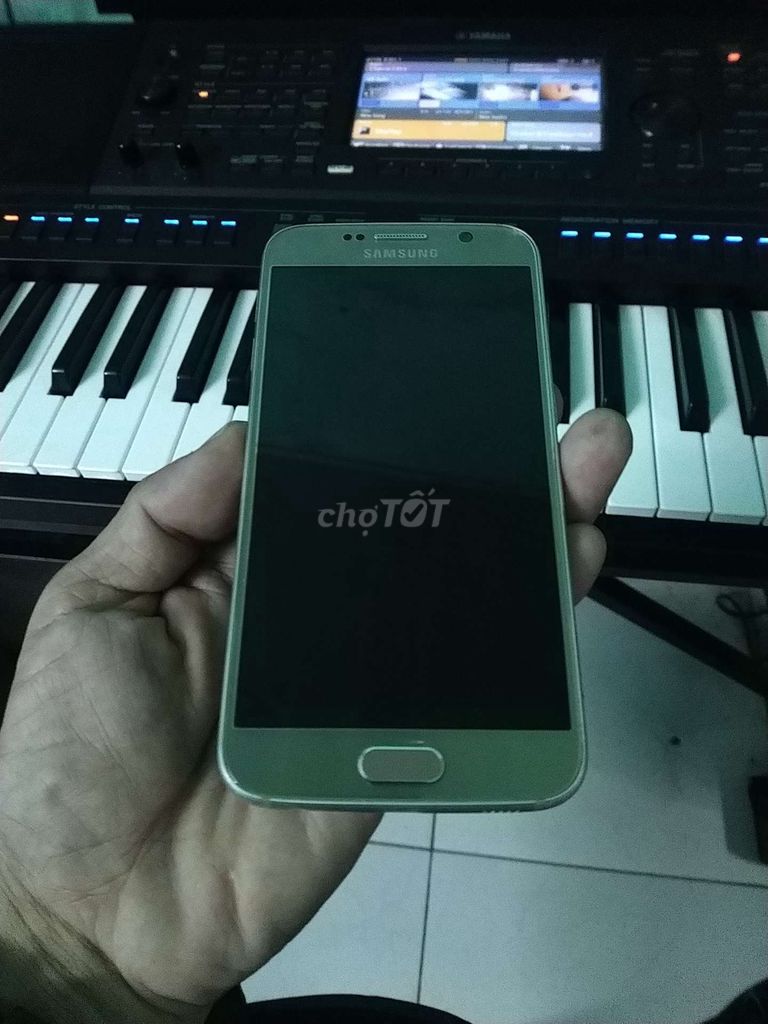 S6 chất