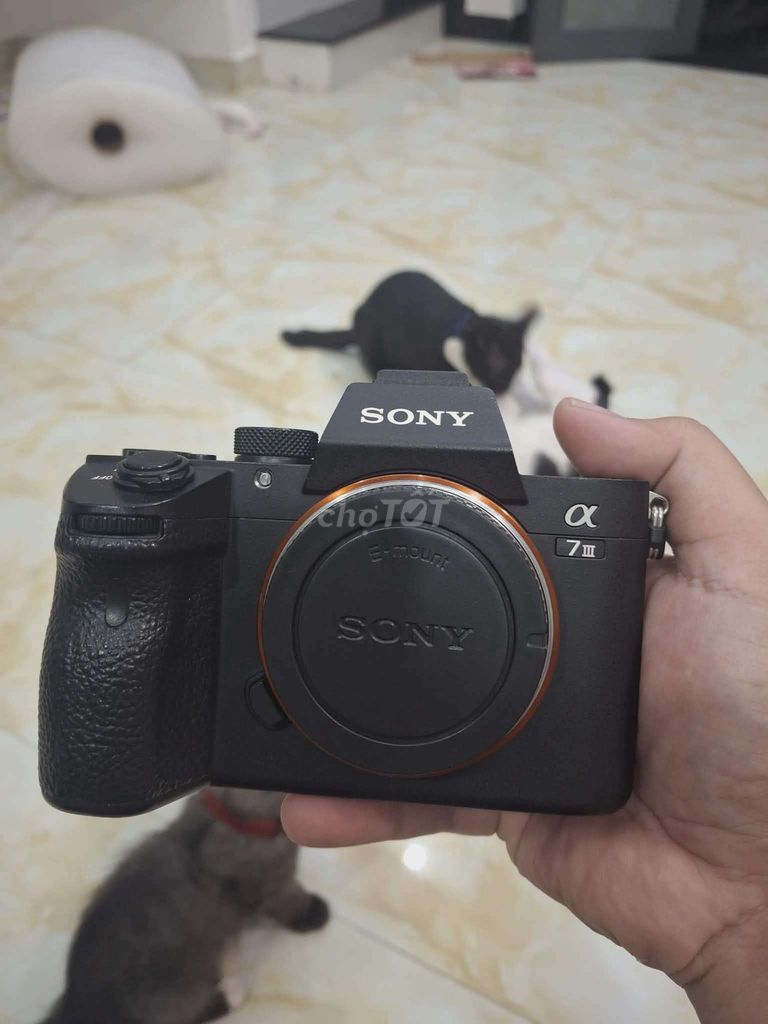Sony Alpha A7 III 85f1.8. Mua bán Máy ảnh, Máy quay tại Thành phố Nha Trang Khánh Hòa được đăng bởi Triệu Thị Cẩm Tiên hình 1