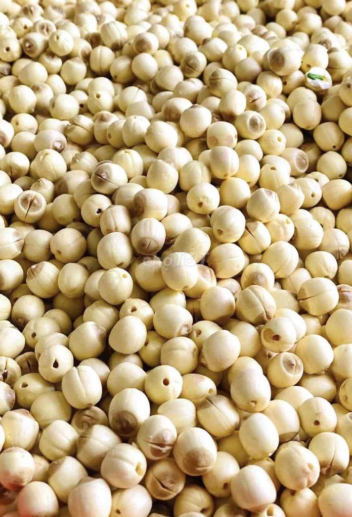 Hạt sen khô Việt Nam nguyên chất bùi tự nhiên. Mua bán Đồ ăn, thực phẩm và các loại khác tại Quận 7 Tp Hồ Chí Minh được đăng bởi Quang Hiền  hình 1