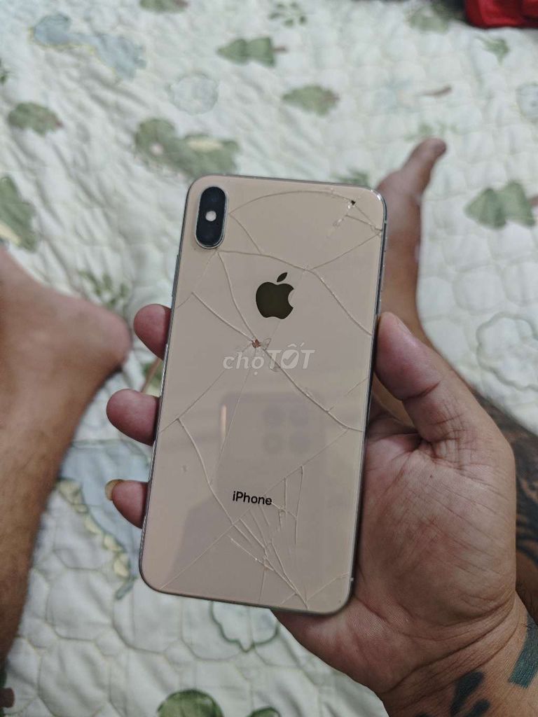 iPhone Xs Max 64GB Bể lưng, đốm màn. Quốc Tế. Mua bán Điện thoại tại Quận Cái Răng Cần Thơ được đăng bởi Ngân Long Trung hình 1