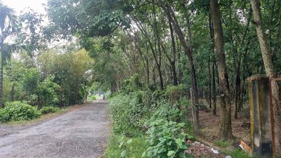 Ngân hàng phát mãi lô đất 3010,8m2 có 200m2 thổ cư (Ms Dươn). Mua bán đất tại Huyện Trảng Bàng Tây Ninh được đăng bởi Dương Chuyên tài sản Thanh lý Ngân hàng