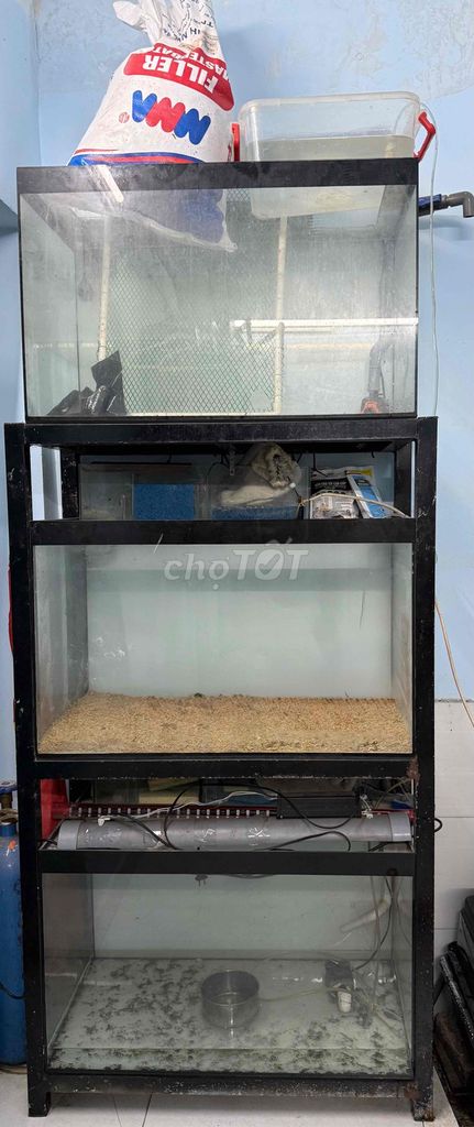 Hồ cá cảnh kính đen 80x50x40cm. Mua bán Phụ kiện, Thức ăn, Dịch vụ tại Quận Tân Bình Tp Hồ Chí Minh được đăng bởi Chương hình 1