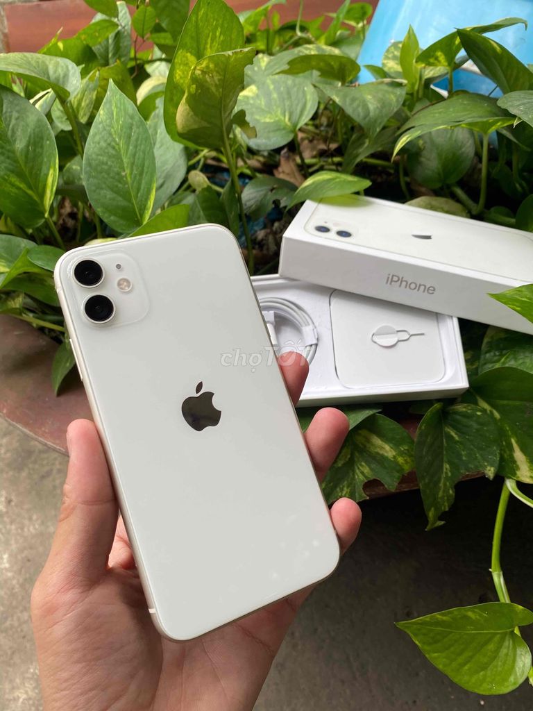 Iphone 11 zin keng 99,9% BH Apple 05/2025