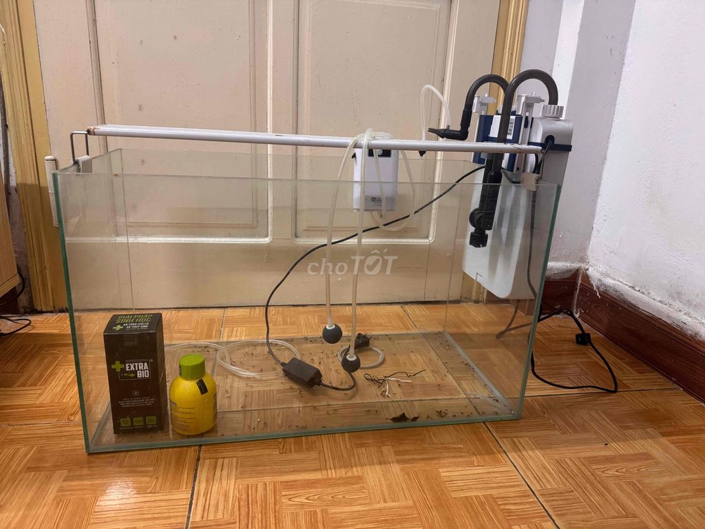 Bể cá cảnh Kính 60x40x30cm. Mua bán Phụ kiện, Thức ăn, Dịch vụ tại Quận Đống Đa Hà Nội được đăng bởi dương trung dũng hình 1
