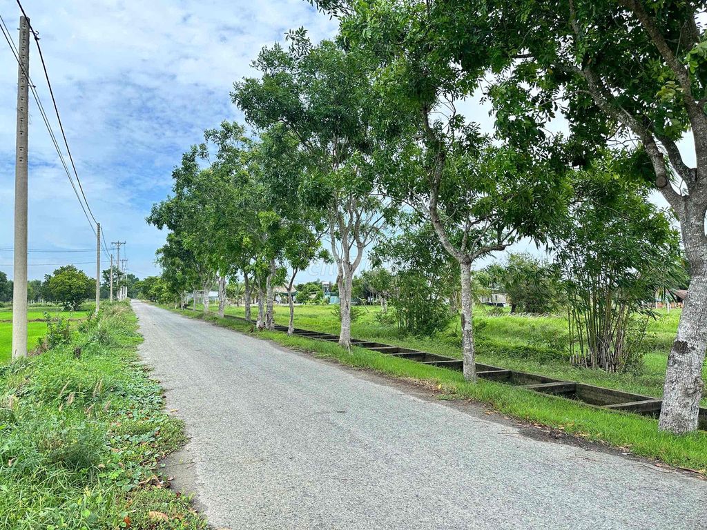 🌿 BÁN GẤP ĐẤT VƯỜN 810m² CÓ THỔ CƯ - HUYỆN CỦ CHI – GIÁ 1 TỶ X TL 🌿