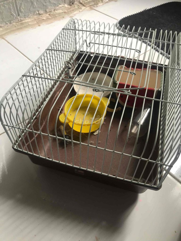 Lồng Hamster Kim loại Nhựa Nâu bạc. Mua bán Phụ kiện, Thức ăn, Dịch vụ tại Huyện Nhà Bè Tp Hồ Chí Minh được đăng bởi Huyền hình 1