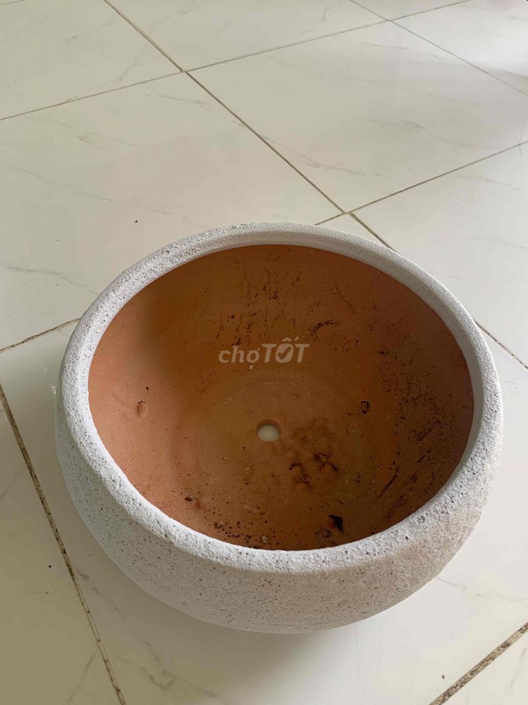 Chậu cây gốm tròn màu trắng miệng 25cm. Mua bán Cây cảnh, đồ trang trí tại Thành phố Nha Trang Khánh Hòa được đăng bởi Khoa hình 1