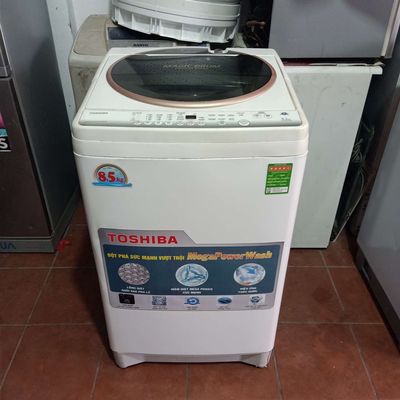 Máy giặt Toshiba 8kg bảo hành 06 tháng