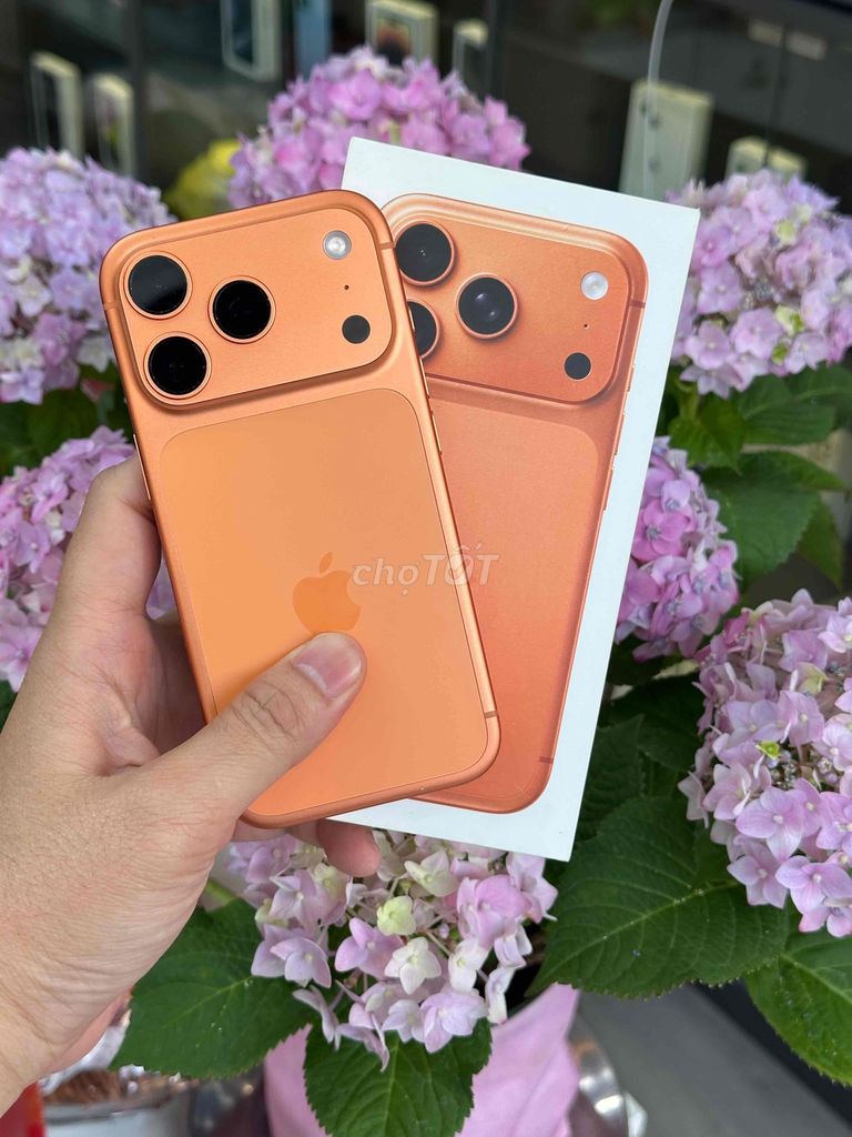 17 Pro 256GB Cam Qte Pin 100 BH 10/2026 Fullbox. Mua bán Điện thoại tại Quận Ninh Kiều Cần Thơ được đăng bởi Quý Mobile Cần thơ hình 1