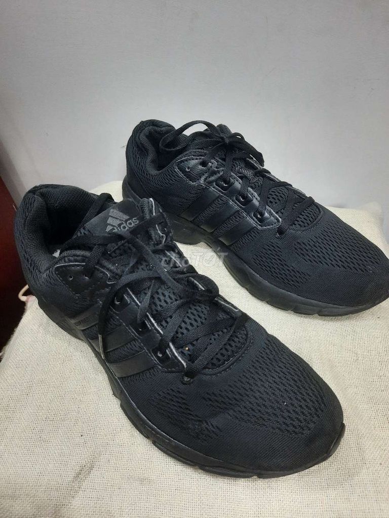 Giày thể thao Adidas