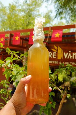 Mật ong rừng. Mua bán Đồ ăn, thực phẩm và các loại khác tại Thành phố Huế Thừa Thiên Huế được đăng bởi Hùng 