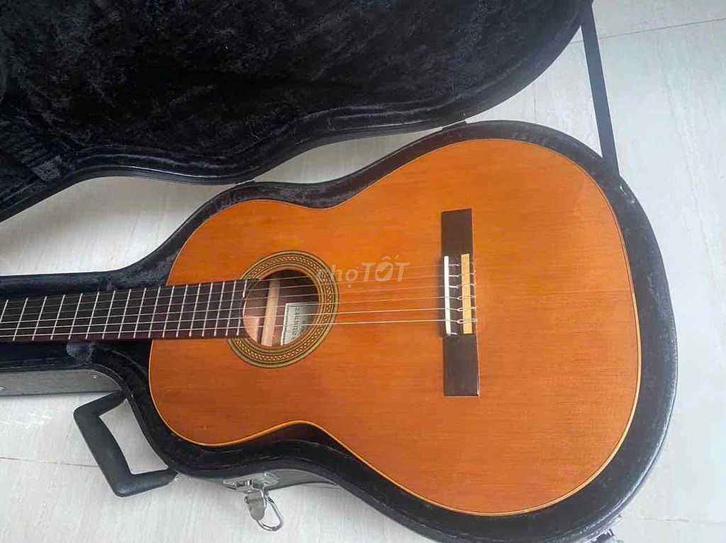 Guitar Tây ban nha và thùng cứng