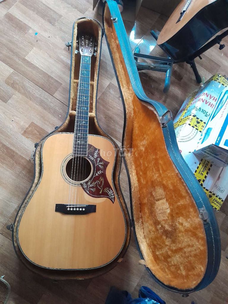 Đàn guitar Morris W45 Gỗ cẩm Brazin Nâu. Mua bán Nhạc cụ tại Huyện Tri Tôn An Giang được đăng bởi Nguyễn Văn Tèo hình 1