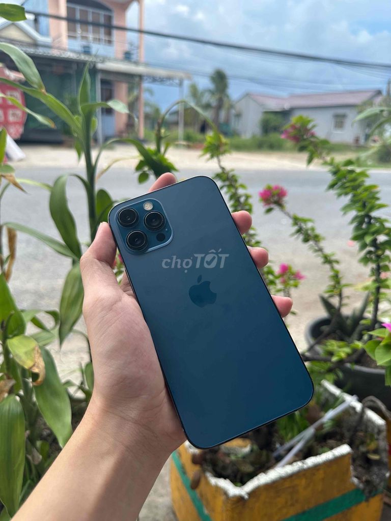 iphone 12prm xanh đẹp. Mua bán Điện thoại tại Thị xã Vĩnh Châu Sóc Trăng được đăng bởi Huỳnh Dinh hình 1