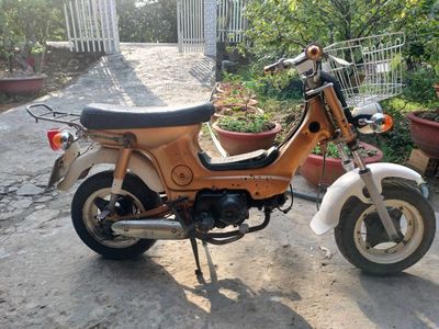 Chaly 50cc bs64