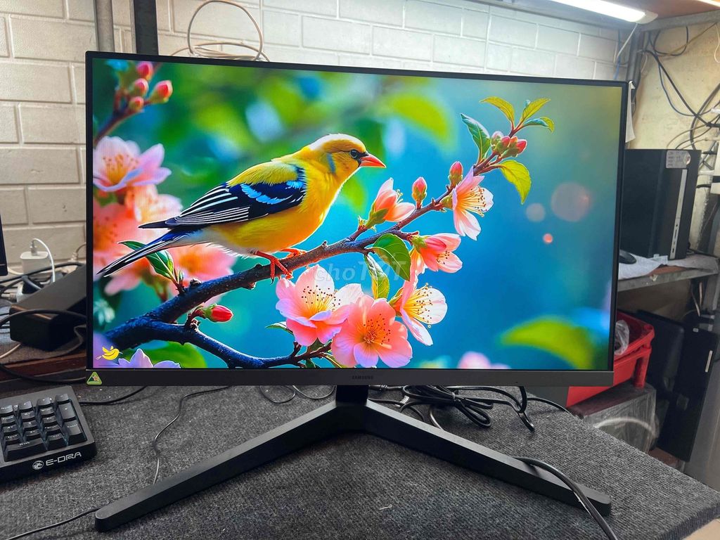 Màn hình Samsung LED 24 inch Full HD 100hz. Mua bán Phụ kiện (Màn hình, Chuột...) tại Quận Phú Nhuận Tp Hồ Chí Minh được đăng bởi tiến tài 770 nguyễn kiệm p4 quận phú nhuận hình 1