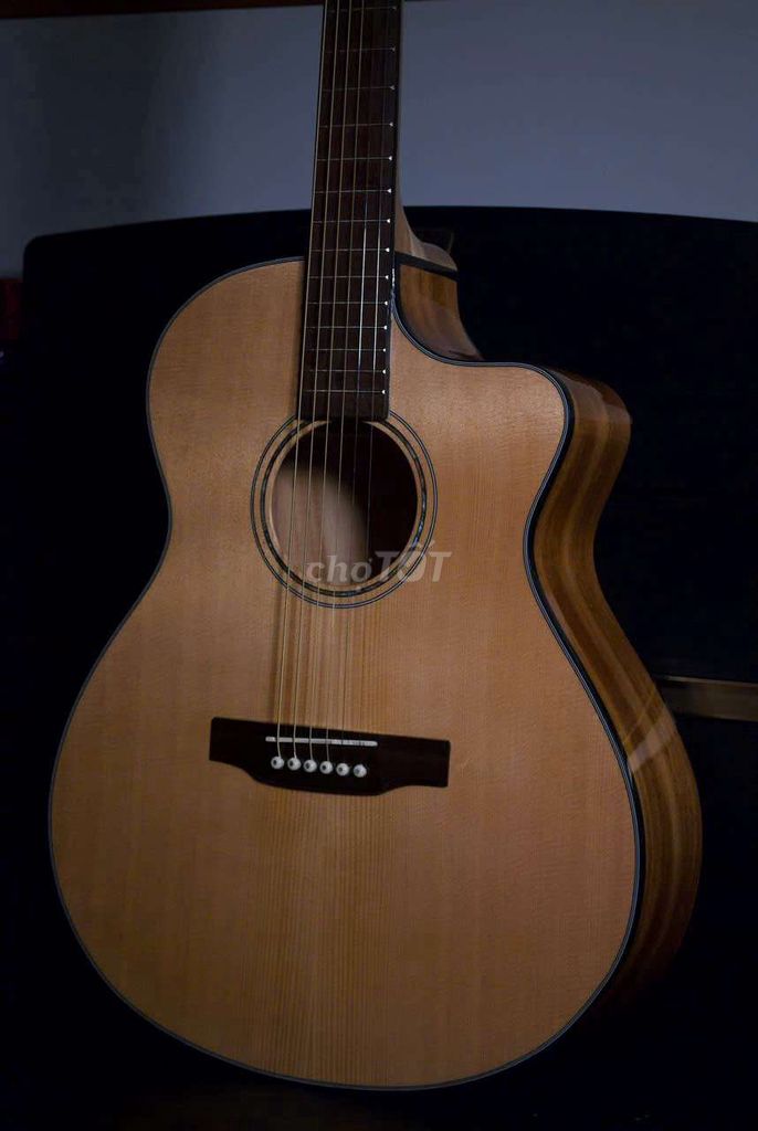 Guitar aucostic Soul Sưa A250