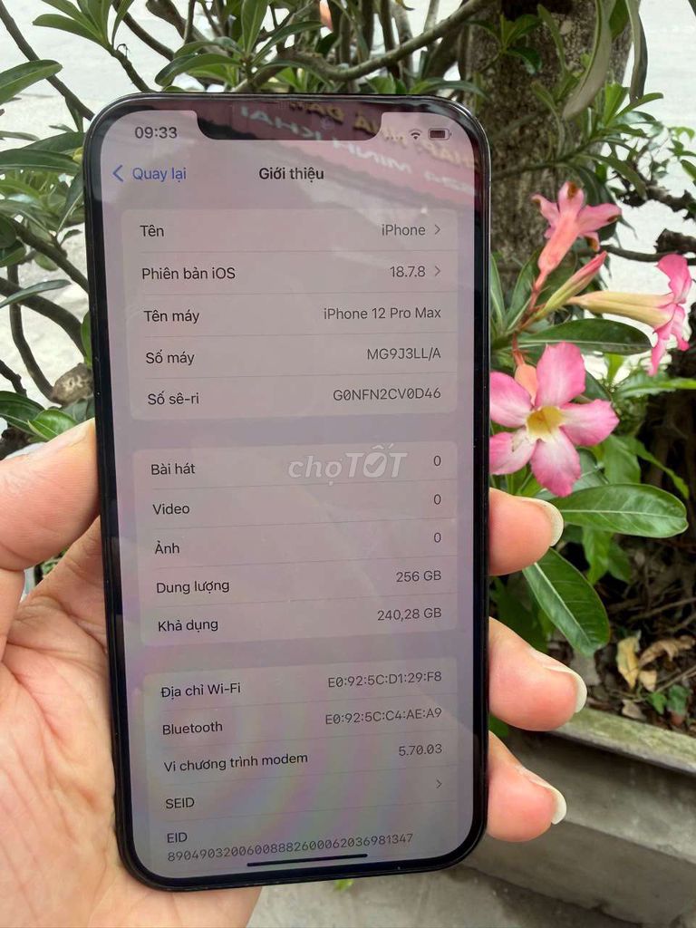 Apple iPhone 12 Pro Max 256GB Xanh. Mua bán Điện thoại tại Quận Hai Bà Trưng Hà Nội được đăng bởi bùi hữu liêm  hình 1